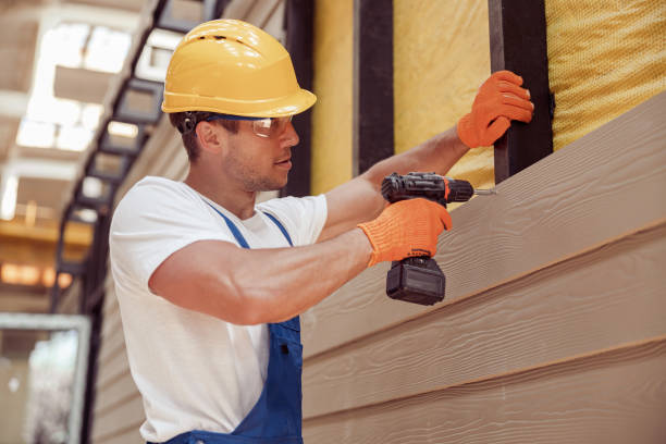Best Custom Siding Design  in Austin, MN